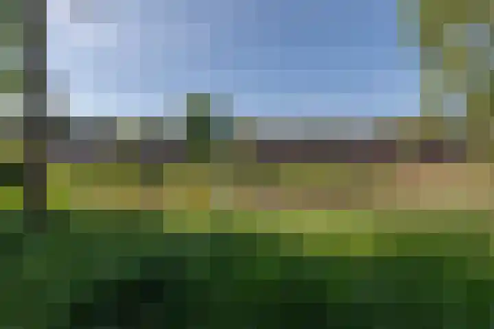 Kraaienveld 95 Zoetermeer thumbnail 41