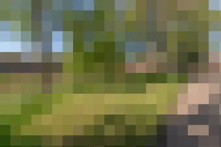 Kraaienveld 95 Zoetermeer thumbnail 42