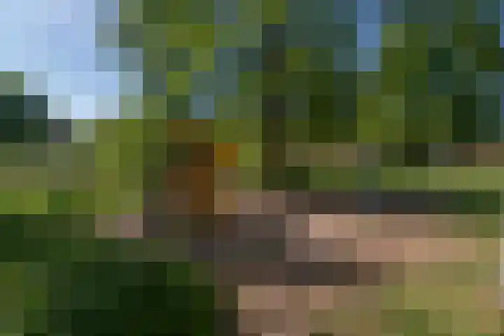 Kraaienveld 95 Zoetermeer thumbnail 43