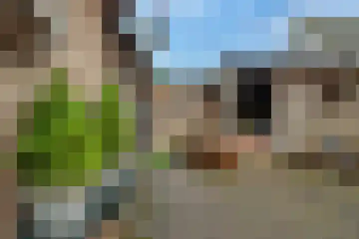 Kraaienweg 25 A Apeldoorn thumbnail 18