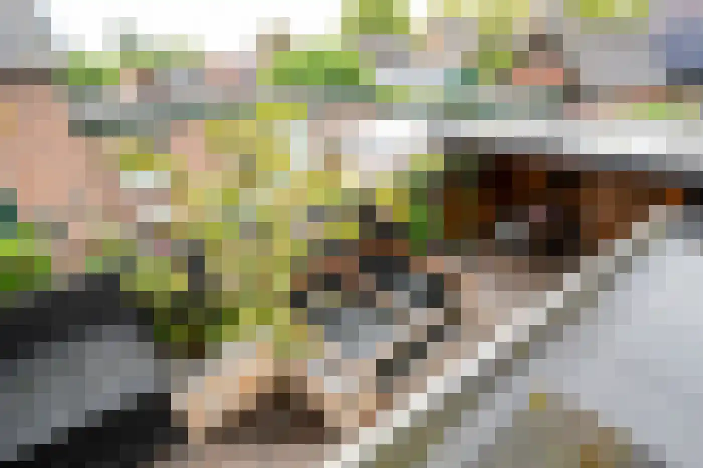 Kraaienweg 39 Apeldoorn thumbnail 31