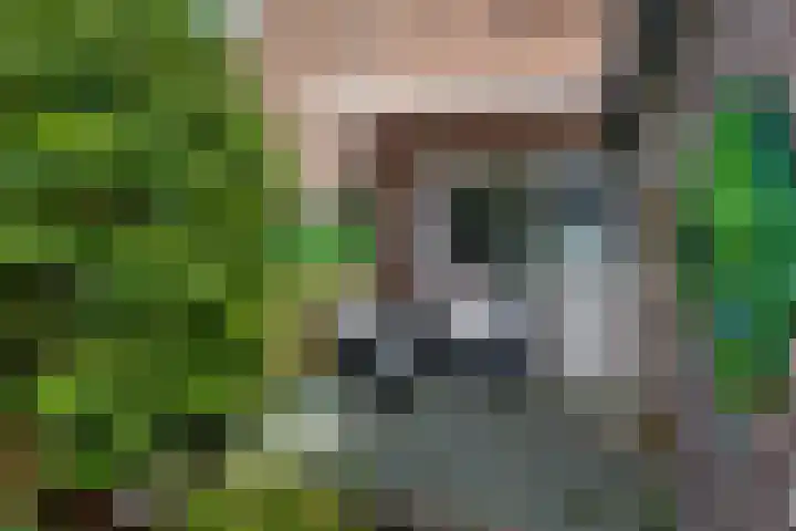 Kraaienweg 66 Apeldoorn thumbnail 15