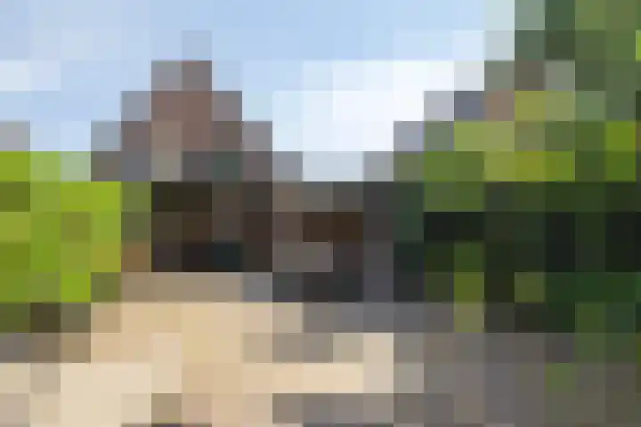 Kraaienweg 87 Apeldoorn thumbnail 15