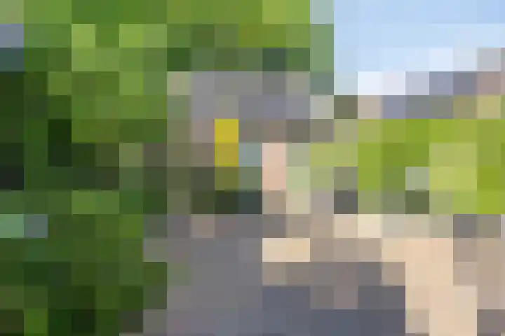 Kraaienweg 87 Apeldoorn thumbnail 16