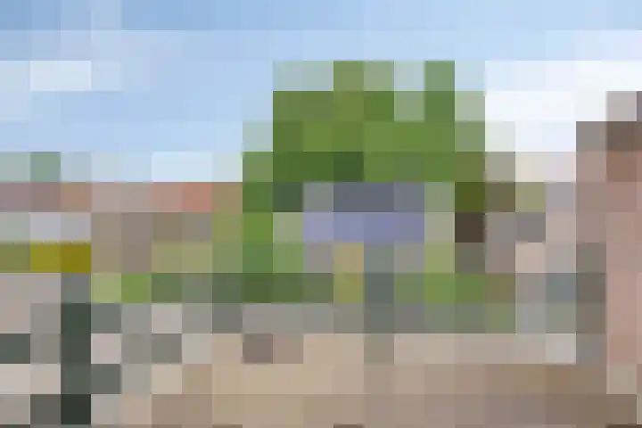 Kraaienweg 87 Apeldoorn thumbnail 23