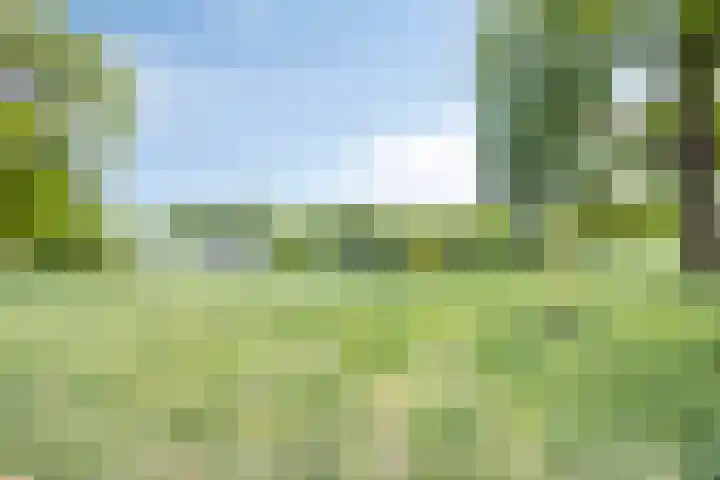 Kraaienweg 87 Apeldoorn thumbnail 31