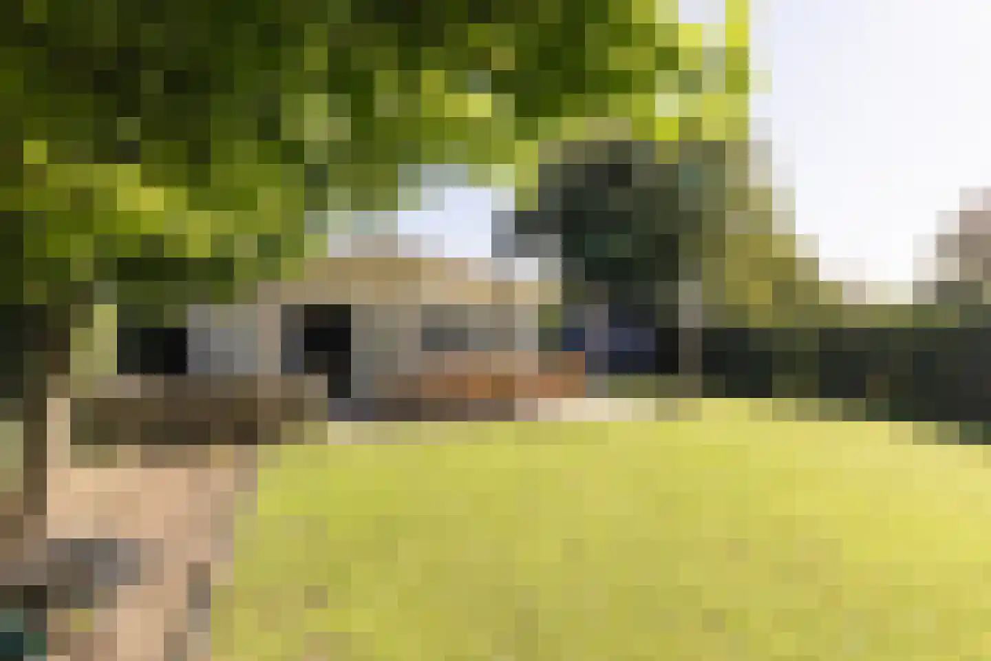 Kraaierslaan 7 204 Noordwijk thumbnail 4
