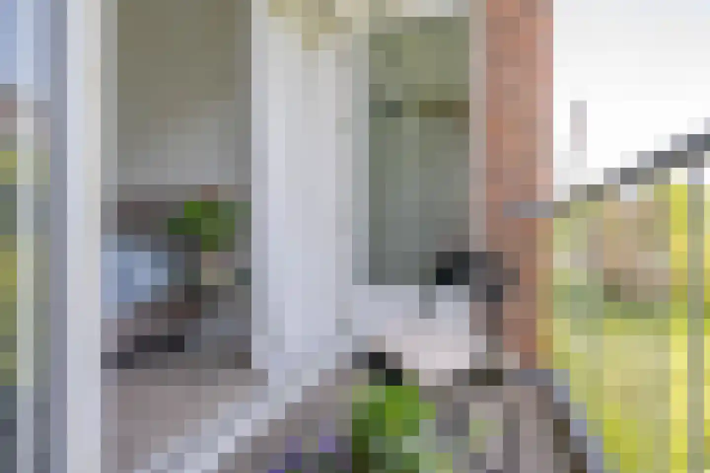 Kraaierstraat 10 B Rotterdam thumbnail 5
