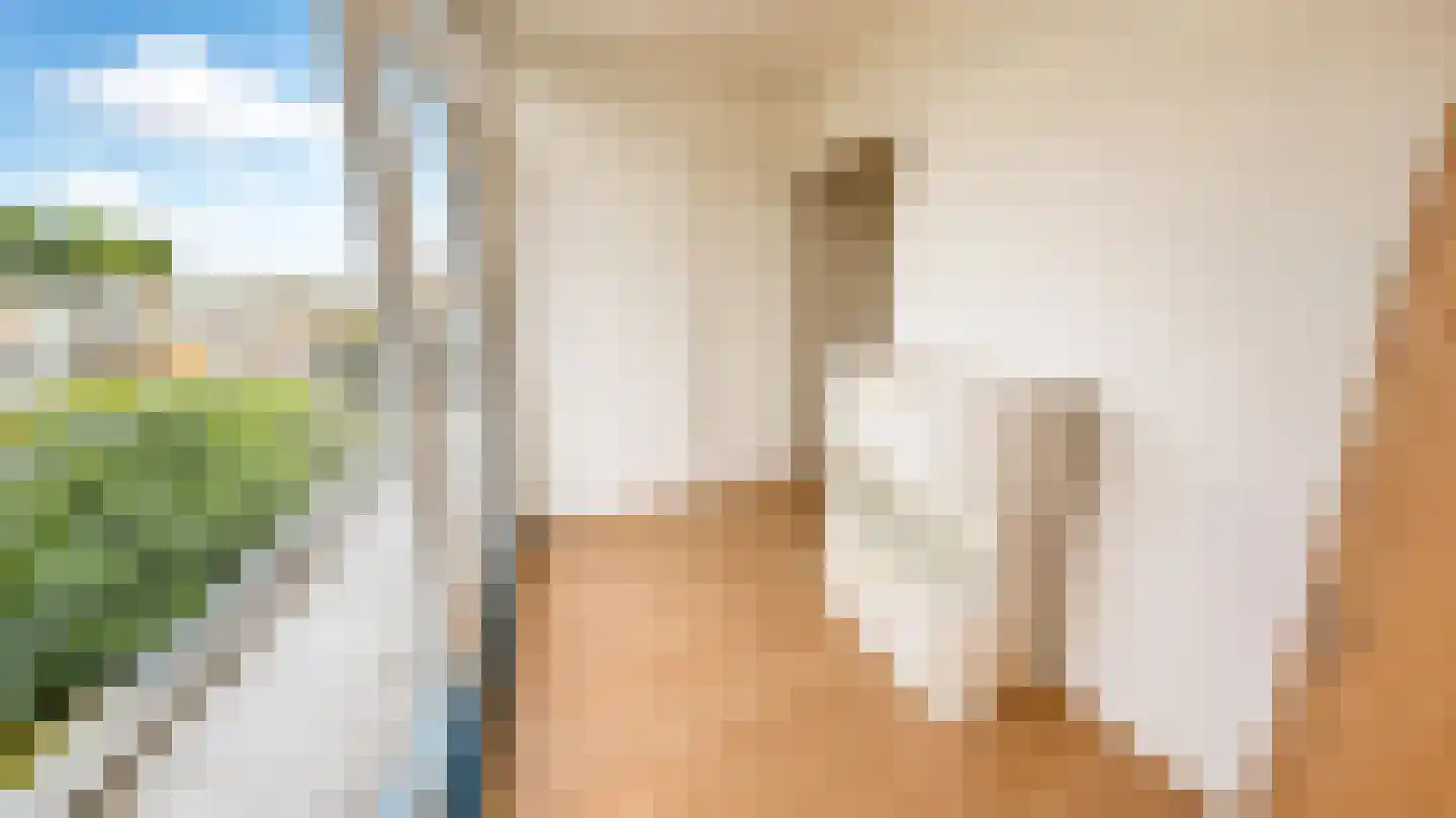 Kraaierstraat 4 D Rotterdam thumbnail 12