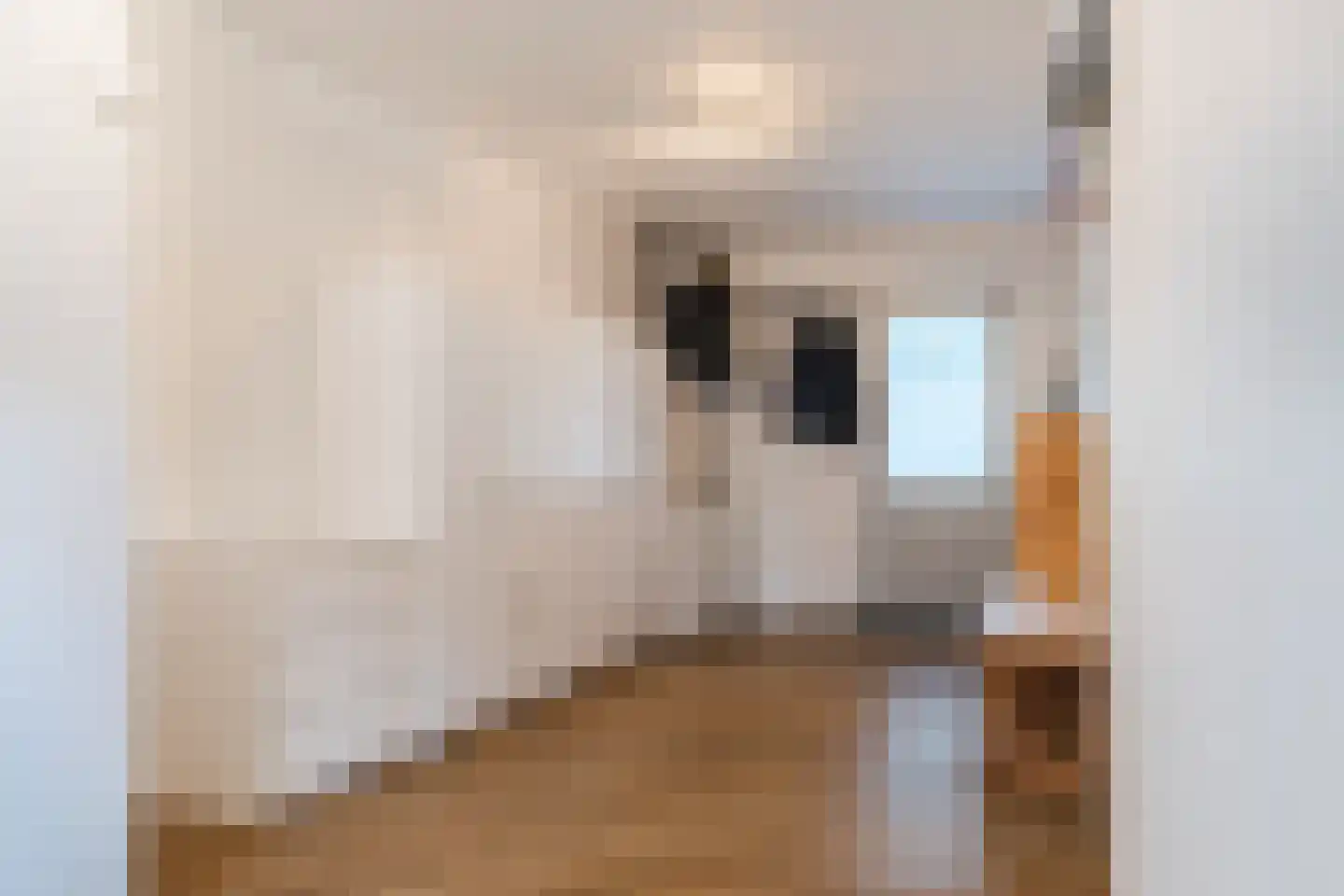 Kraaiheide 10 Bovensmilde thumbnail 24