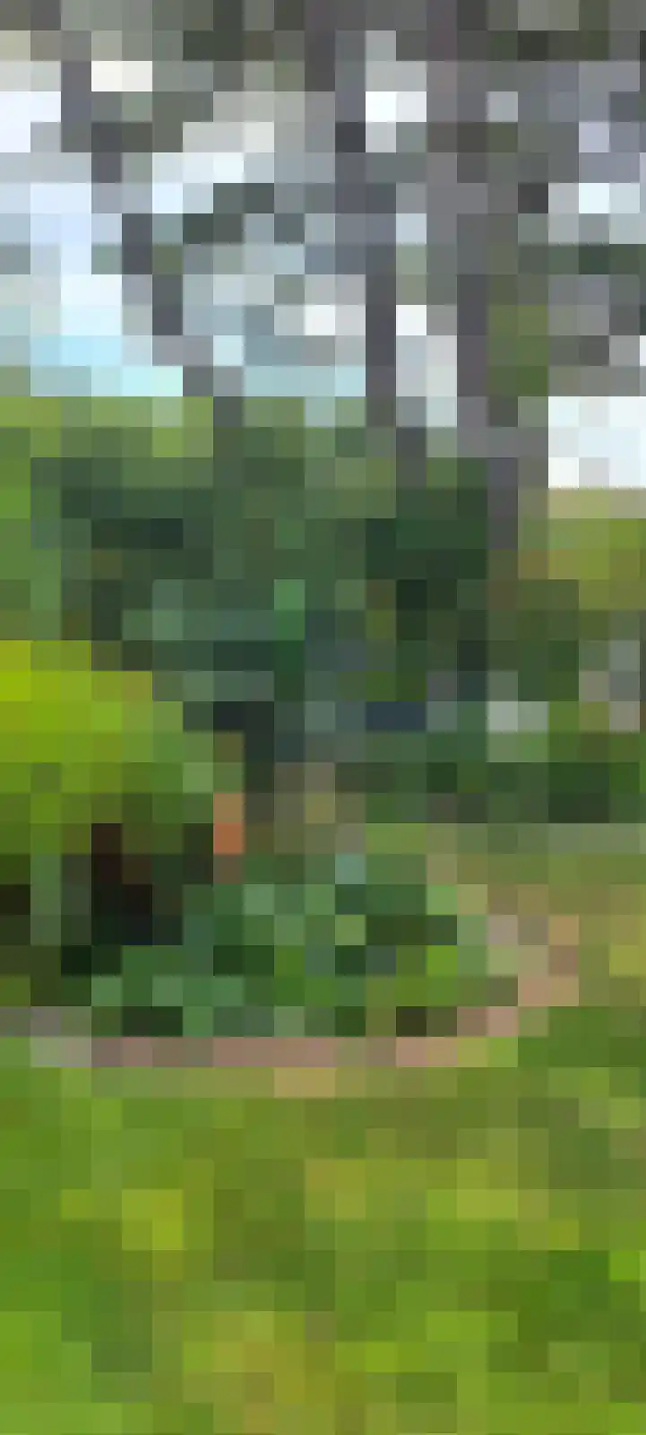 Kraaiheide 10 Julianadorp thumbnail 41