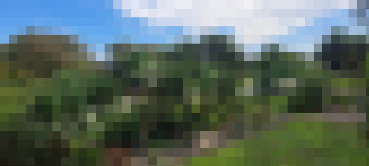 Kraaiheide 10 Julianadorp thumbnail 44