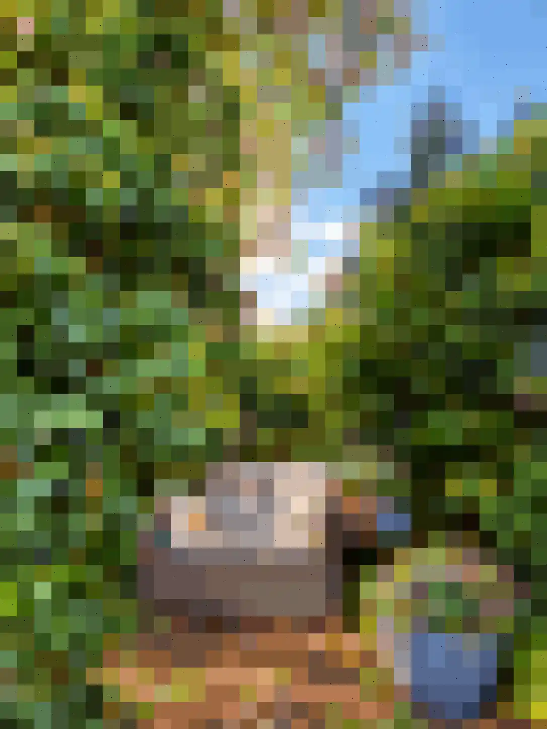 Kraaiheide 2 Sevenum thumbnail 27