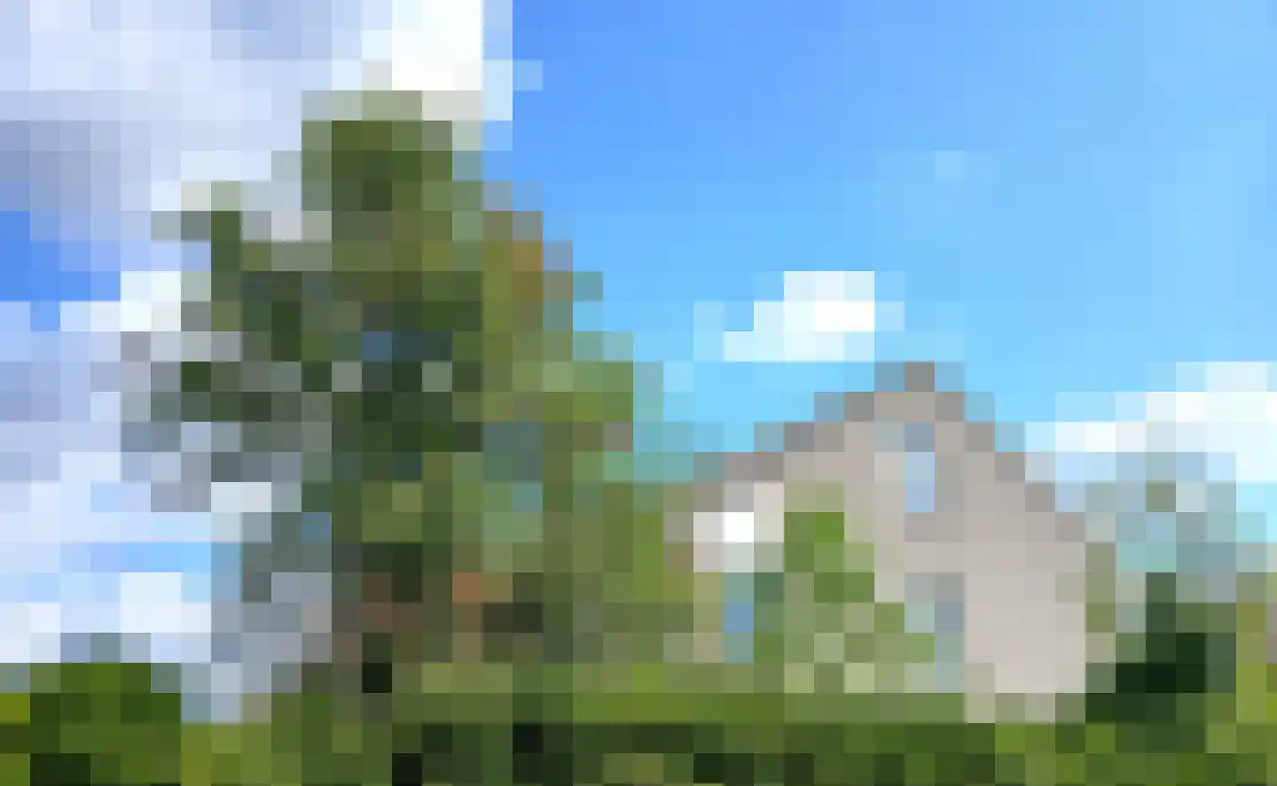 Kraaiheide 2 Sevenum thumbnail 29