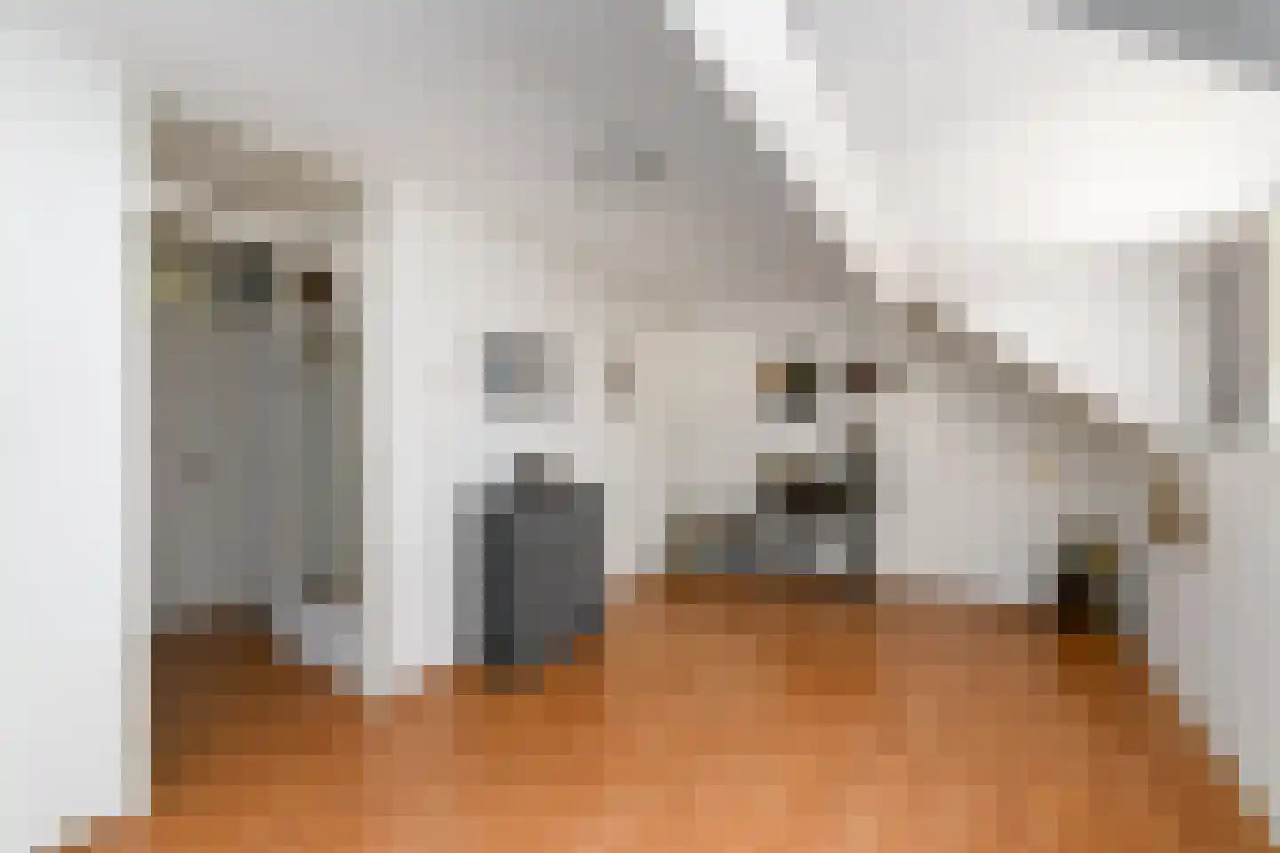 Kraaiheide 2 Wolvega thumbnail 21