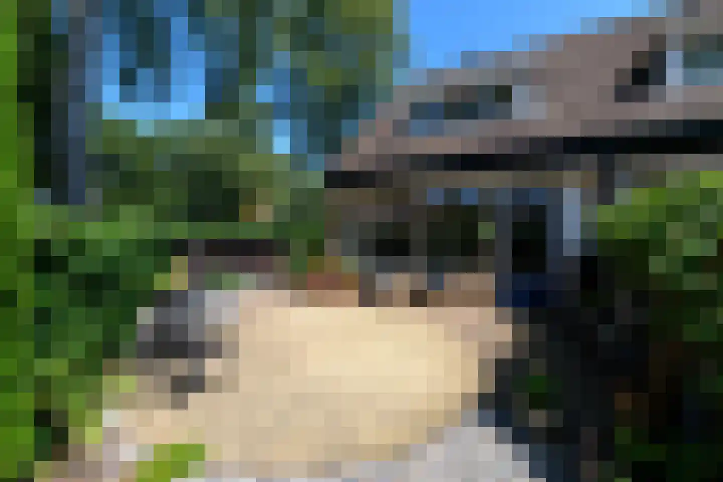 Kraaiheide 2 Wolvega thumbnail 26