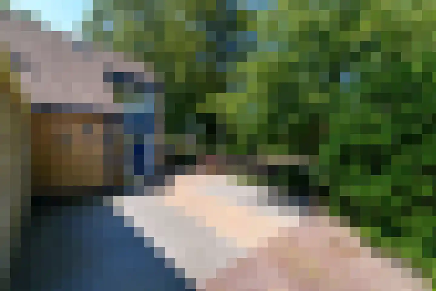 Kraaiheide 2 Wolvega thumbnail 33