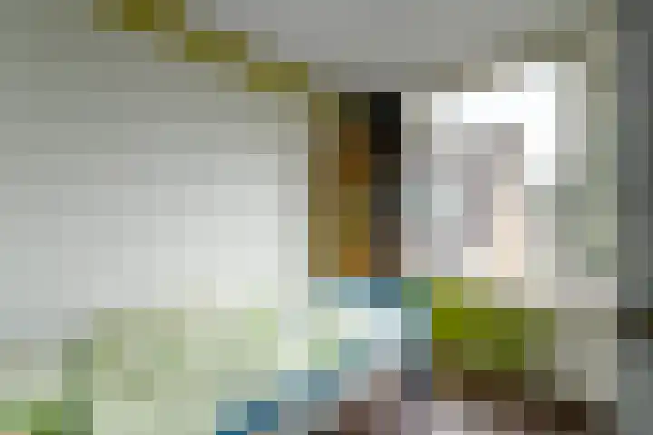 Kraaiheide 20 Wolvega thumbnail 18
