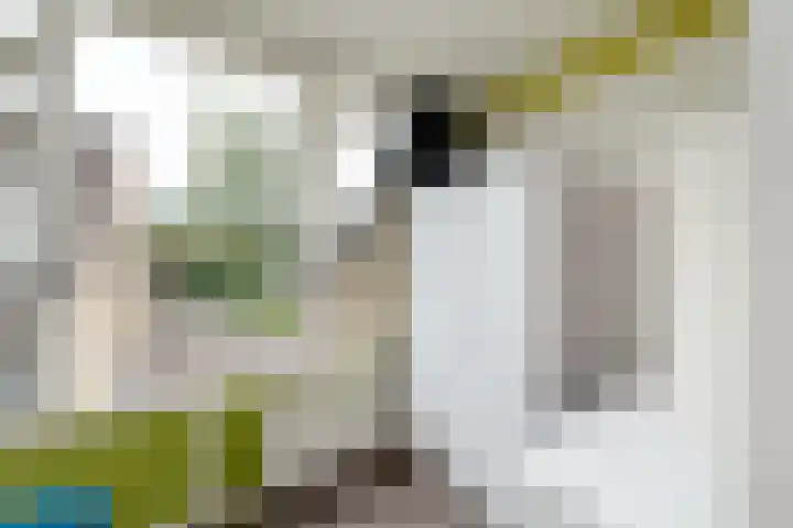 Kraaiheide 20 Wolvega thumbnail 19