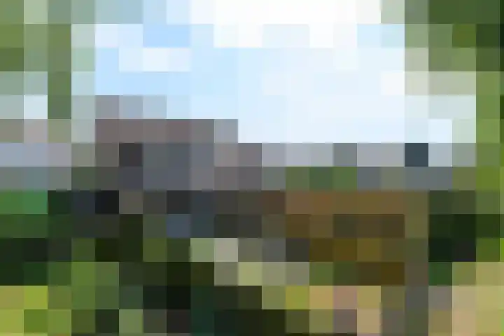 Kraaiheide 20 Wolvega thumbnail 24