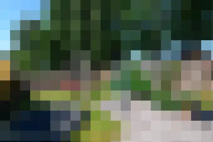 Kraaiheide 20 Wolvega thumbnail 28