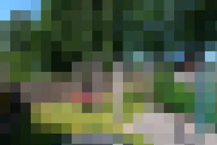 Kraaiheide 20 Wolvega thumbnail 30