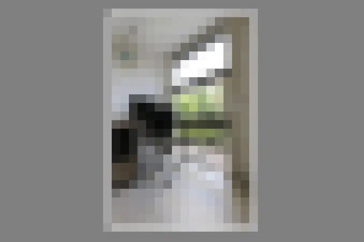 Kraaiheide 21 Bovensmilde thumbnail 20