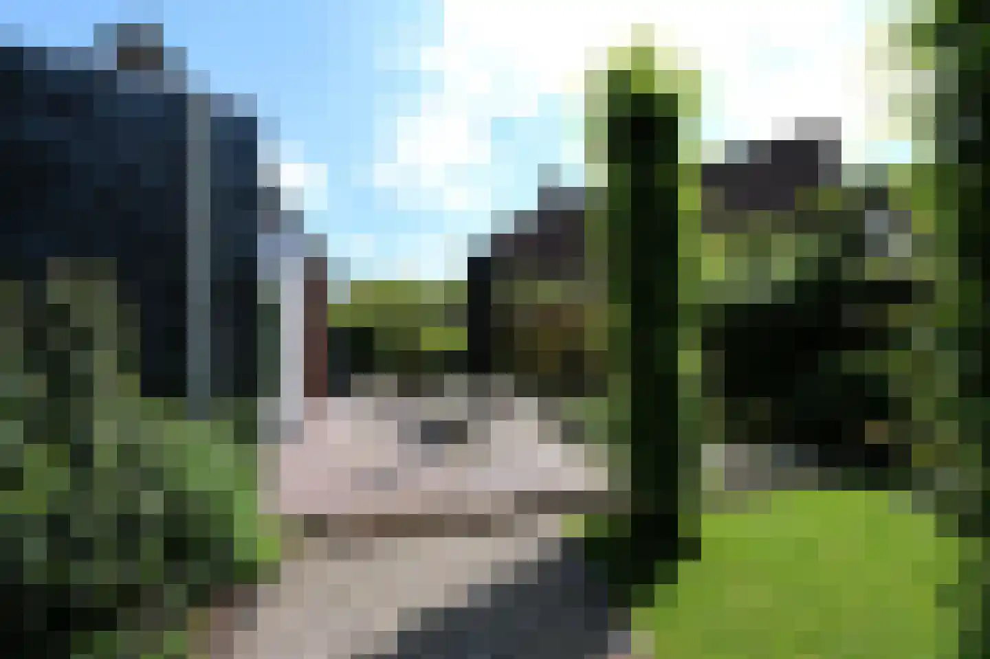 Kraaiheide 21 Bovensmilde thumbnail 36