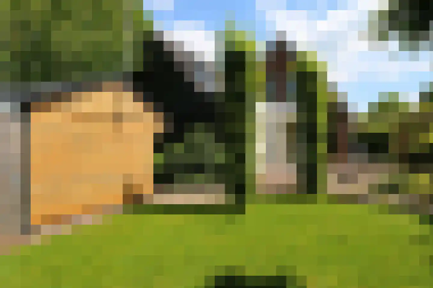 Kraaiheide 21 Bovensmilde thumbnail 37