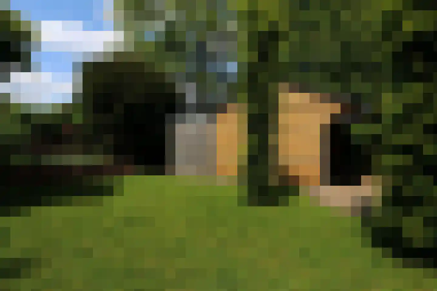 Kraaiheide 21 Bovensmilde thumbnail 39