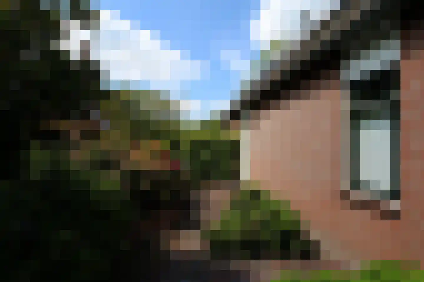 Kraaiheide 21 Bovensmilde thumbnail 4