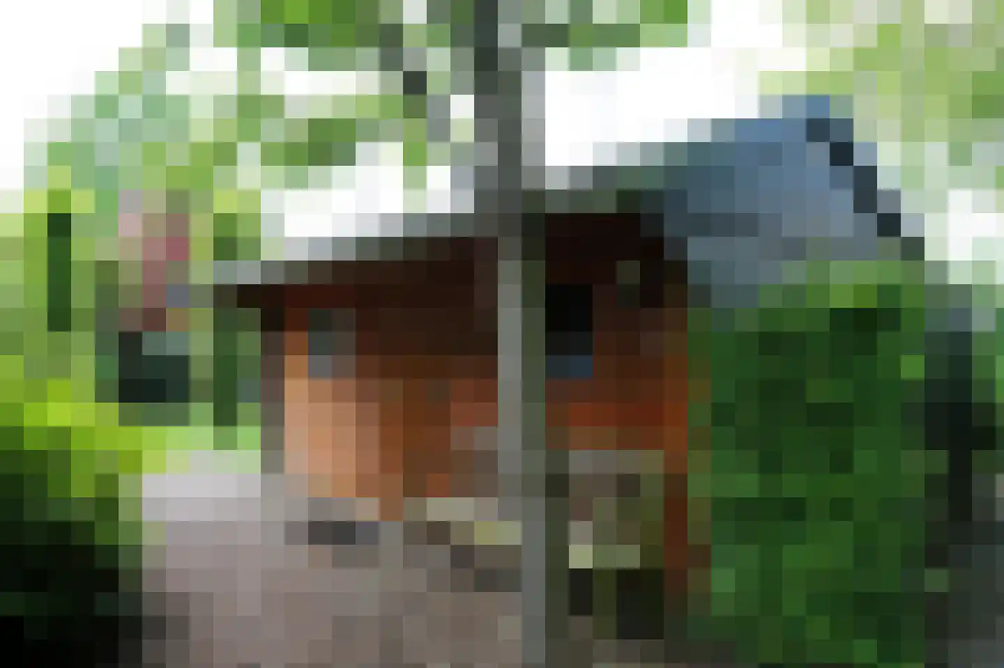 Kraaiheide 21 Bovensmilde thumbnail 41