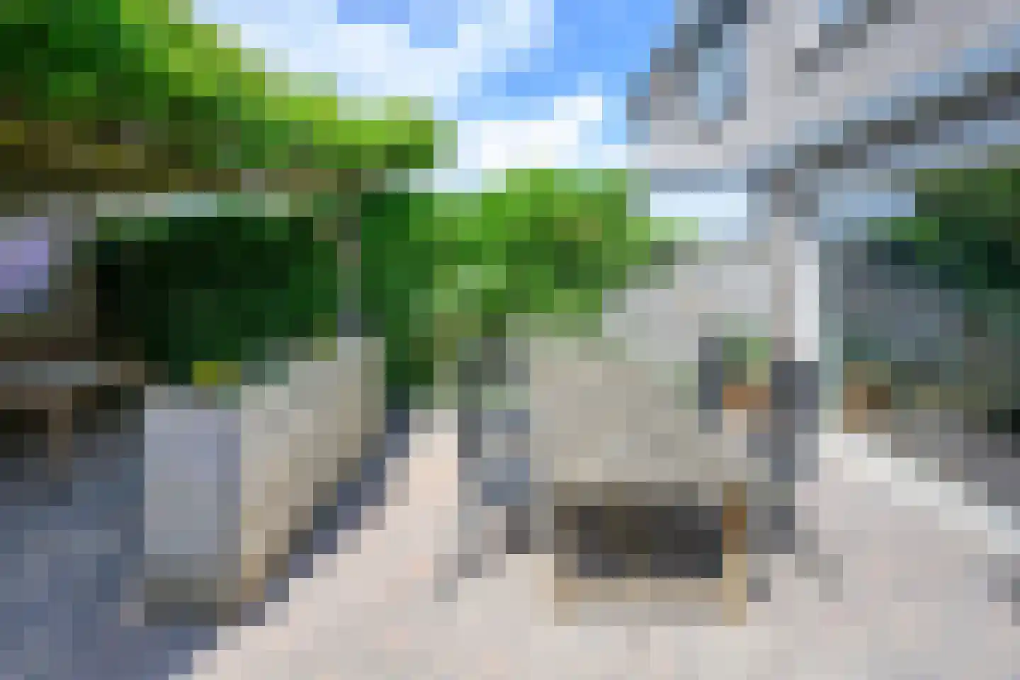 Kraaiheide 25 Eerbeek thumbnail 23
