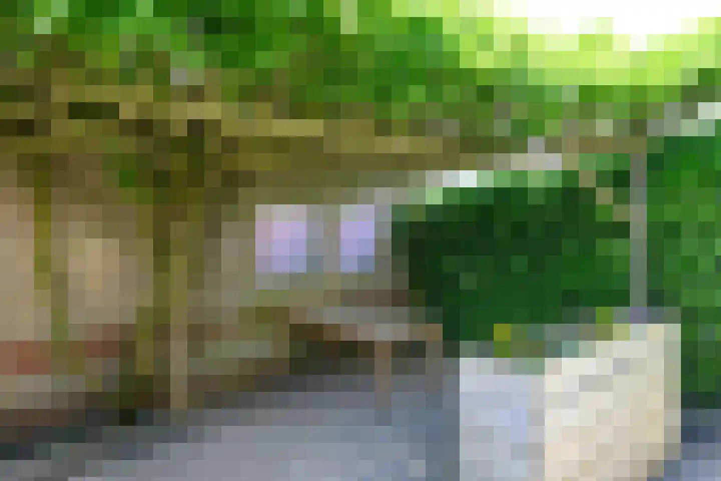 Kraaiheide 25 Eerbeek thumbnail 24