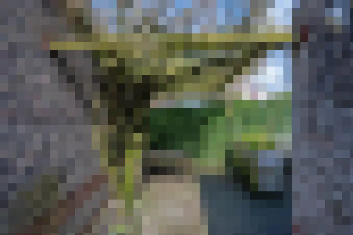 Kraaiheide 25 Eerbeek thumbnail 24
