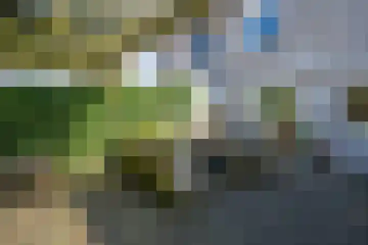 Kraaiheide 25 Eerbeek thumbnail 25