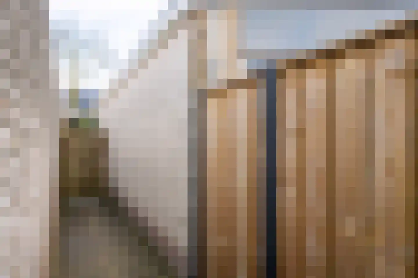 Kraaiheide 25 Eerbeek thumbnail 26