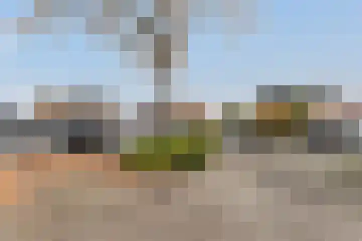 Kraaiheide 26 Eerbeek thumbnail 35