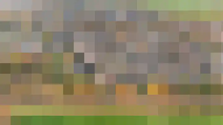 Kraaiheide 26 Eerbeek thumbnail 45