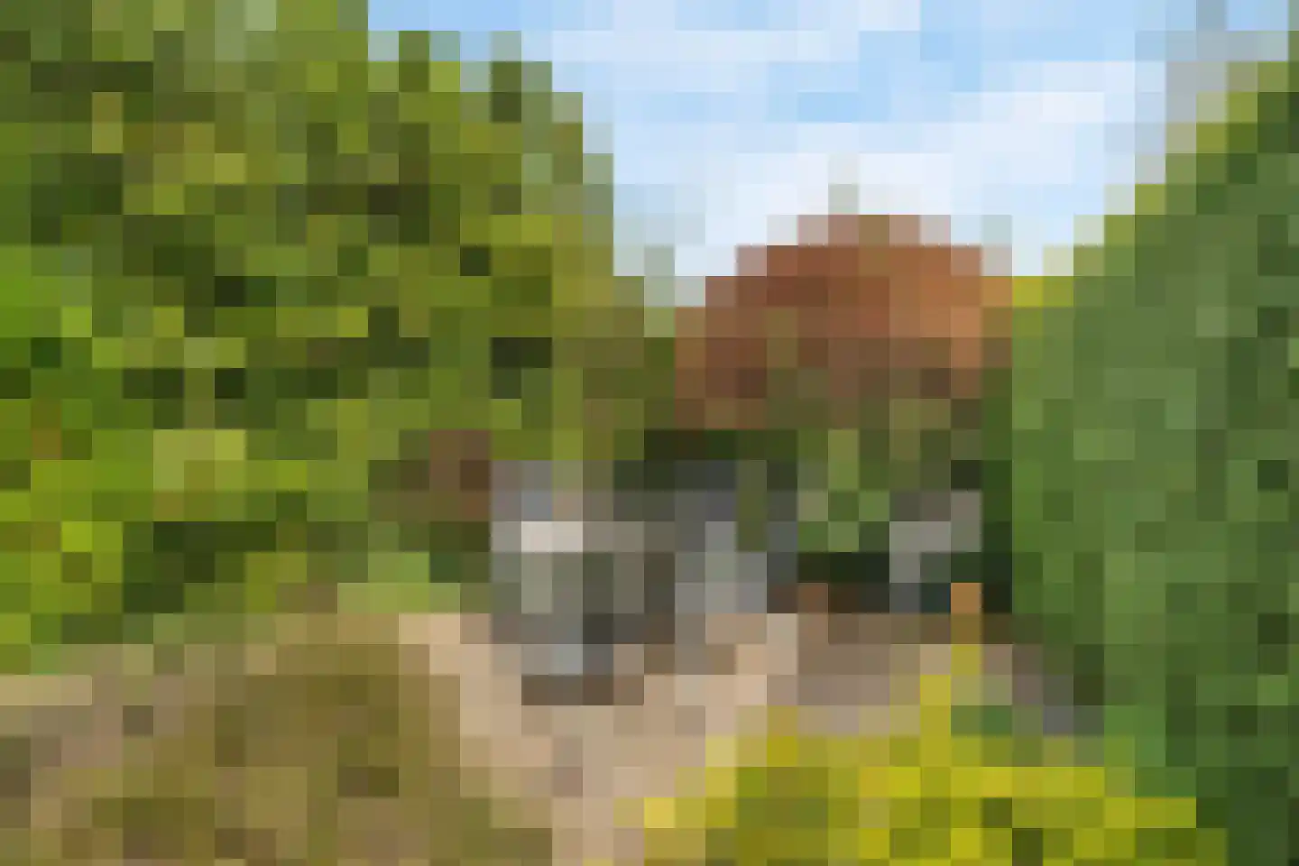 Kraaiheide 3 Amersfoort thumbnail 27