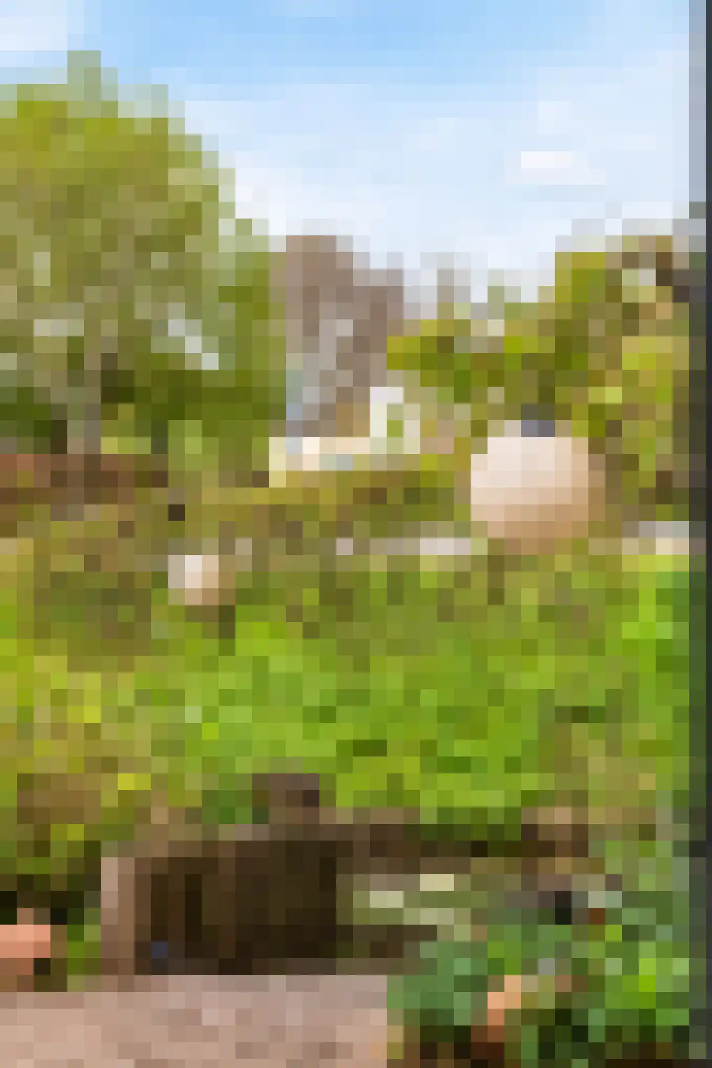 Kraaiheide 3 Amersfoort thumbnail 31