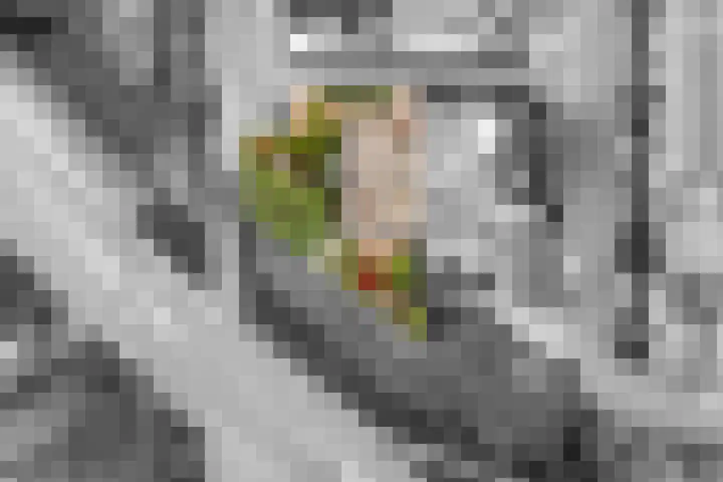 Kraaiheide 3 Amersfoort thumbnail 39