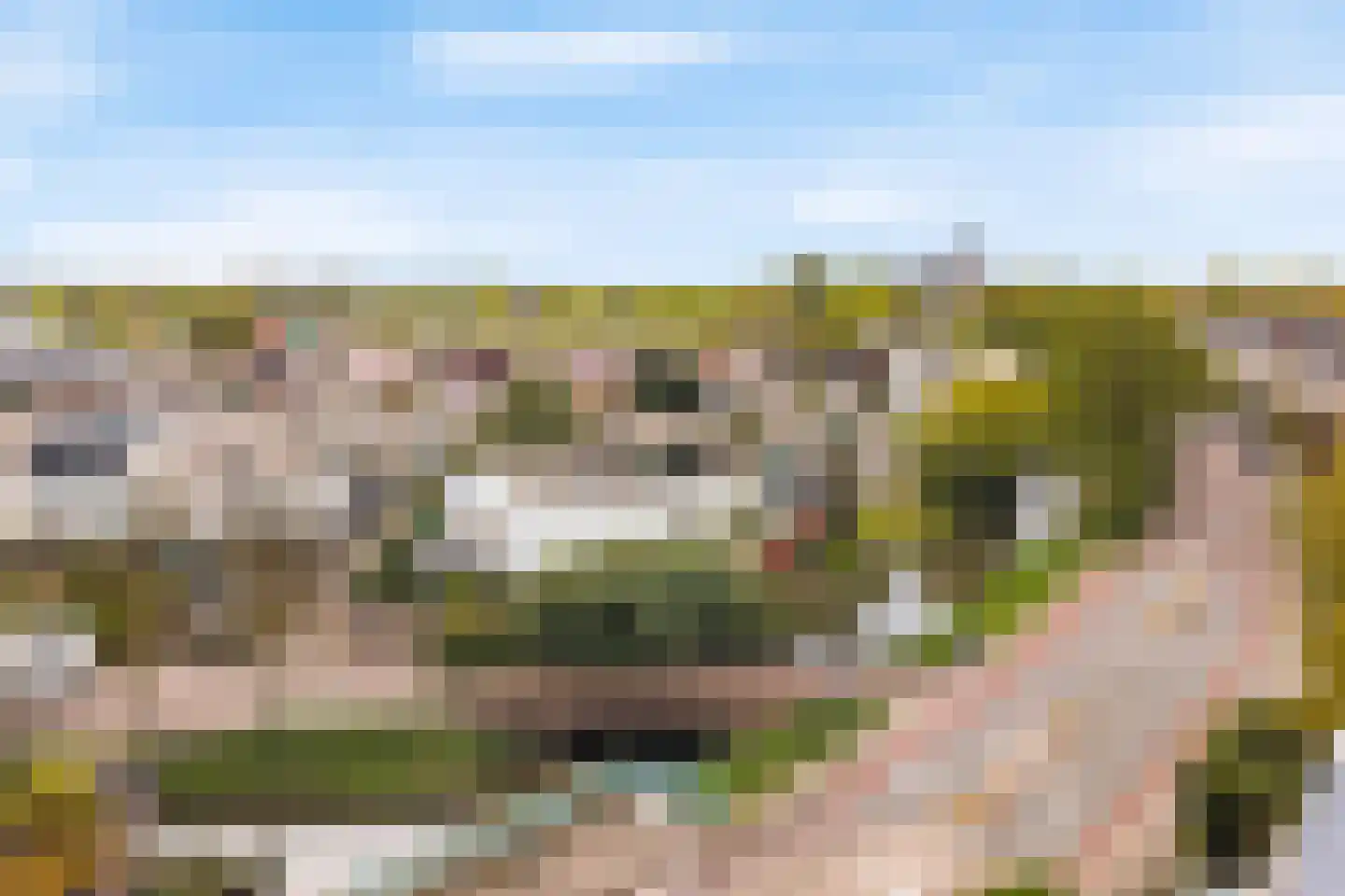 Kraaiheide 3 Amersfoort thumbnail 40