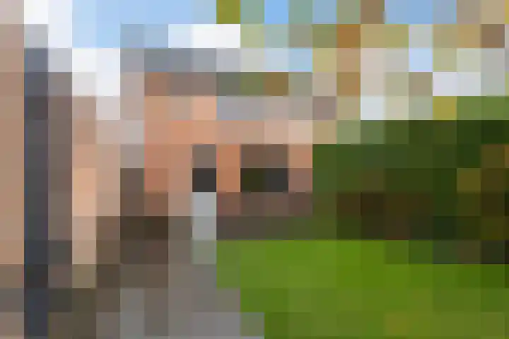 Kraaiheide 38 Eerbeek thumbnail 32