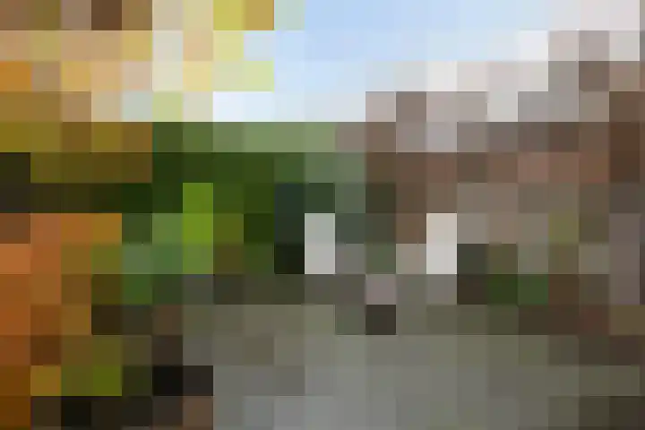 Kraaiheide 38 Eerbeek thumbnail 35