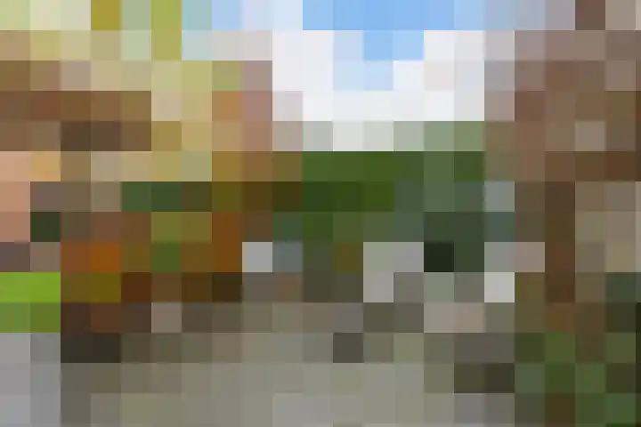 Kraaiheide 38 Eerbeek thumbnail 37