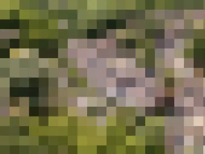 Kraaiheide 39 Rotterdam thumbnail 31