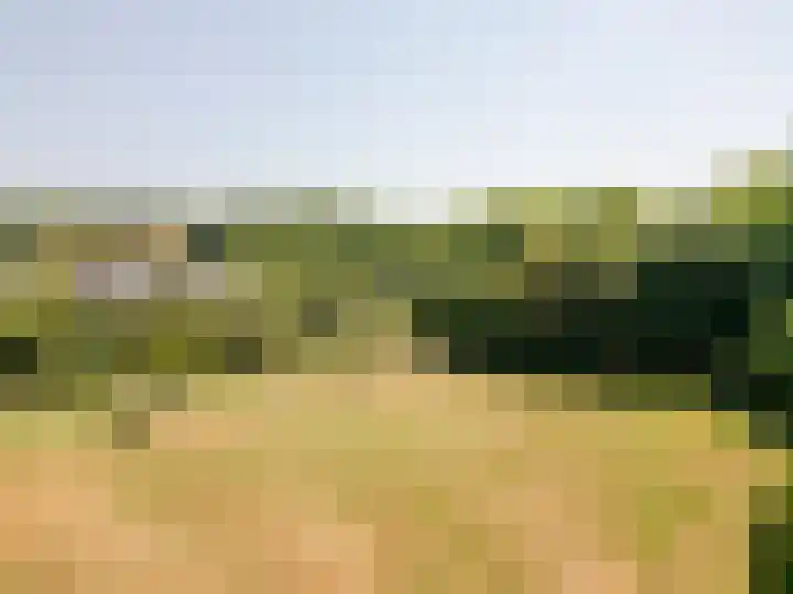 Kraaiheide 39 Rotterdam thumbnail 33