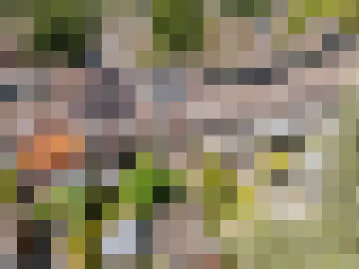 Kraaiheide 39 Rotterdam thumbnail 5