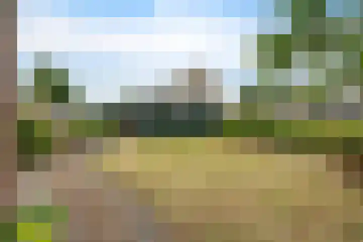 Kraaiheide 40 Emmen thumbnail 18